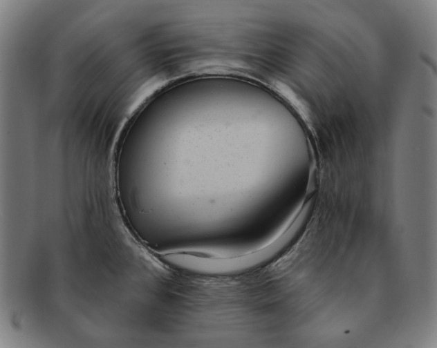 X0000091291384200708311308