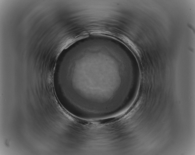 X0000091291385200708311308