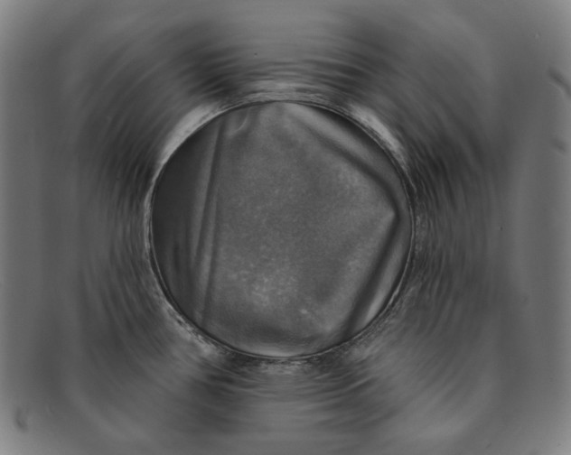 X0000091291386200708311308