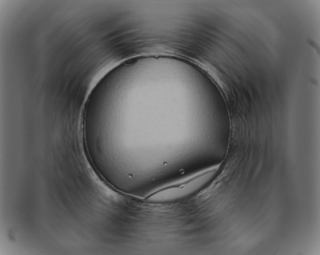 X0000091291387200708311308