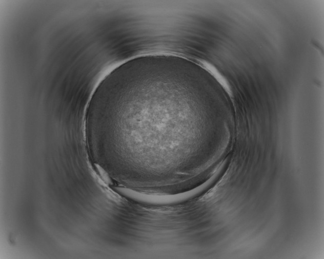 X0000091291388200708311308