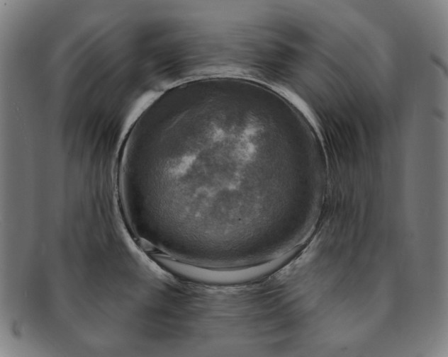 X0000091291389200708311308