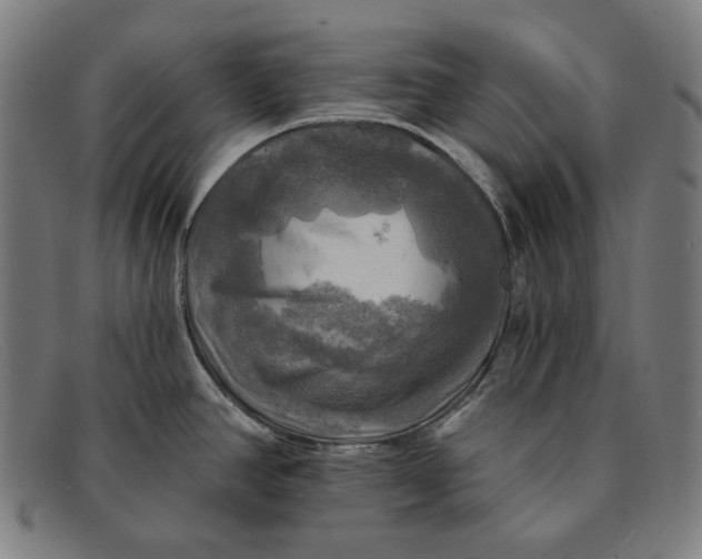 X0000091291390200708311308