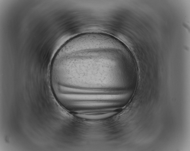 X0000091291392200708311308