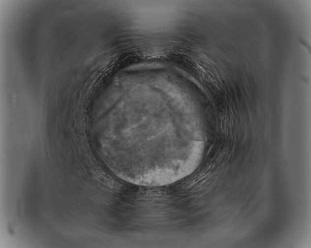 X0000091291393200708311308