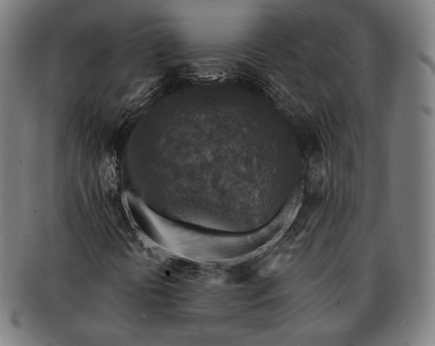 X0000091291394200708311308