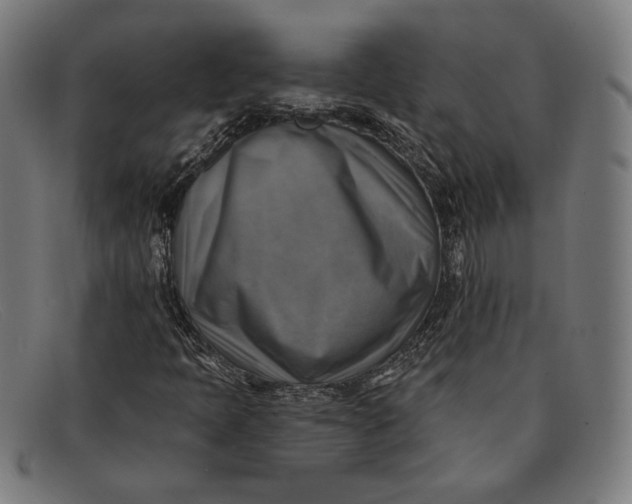 X0000091291397200708311308