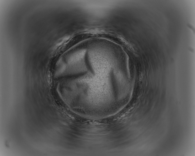 X0000091291398200708311308