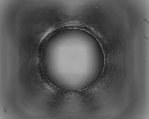 X0000091291400200708311308