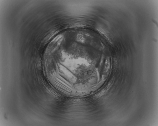 X0000091291401200708311308