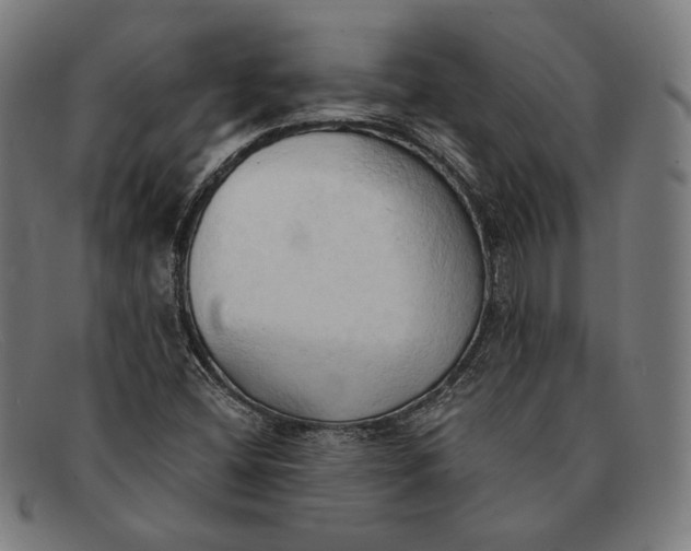 X0000091291404200708311308