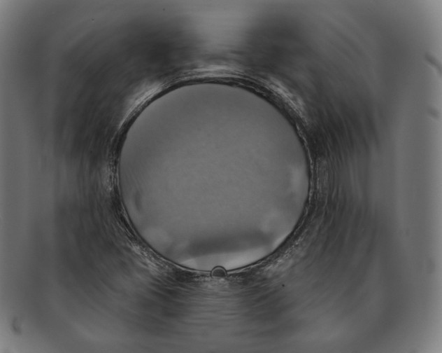 X0000091291405200708311308