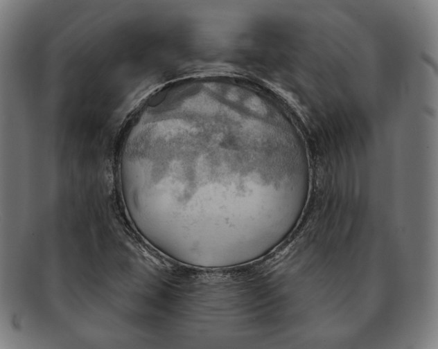 X0000091291407200708311308