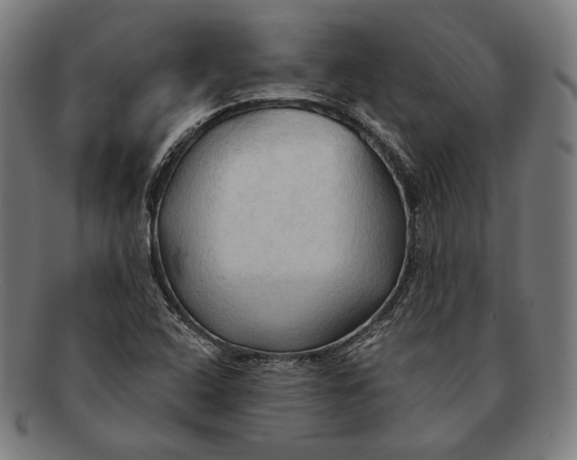 X0000091291408200708311308