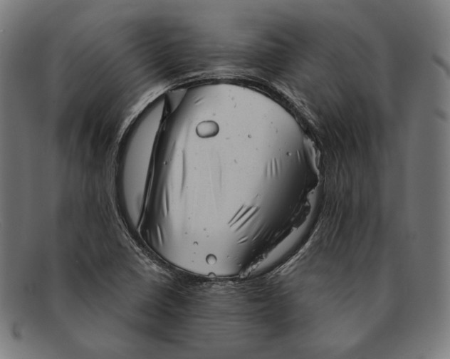 X0000091291410200708311308