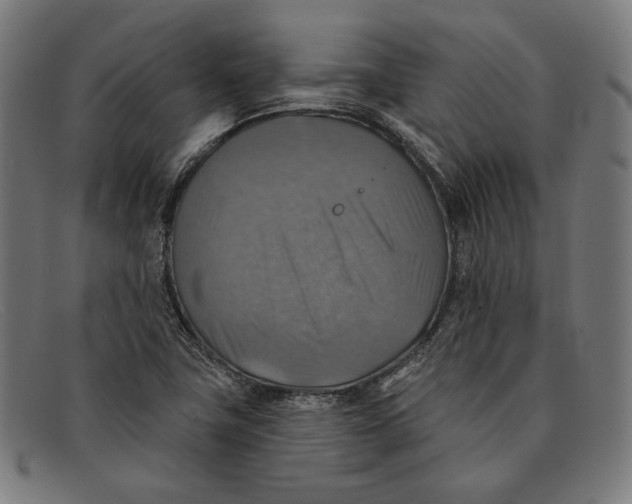 X0000091291411200708311308