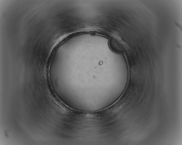 X0000091291412200708311308