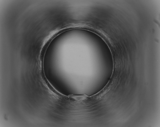 X0000091291414200708311308