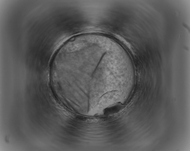 X0000091291415200708311308