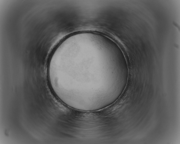 X0000091291416200708311308