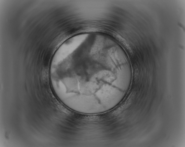 X0000091291417200708311308