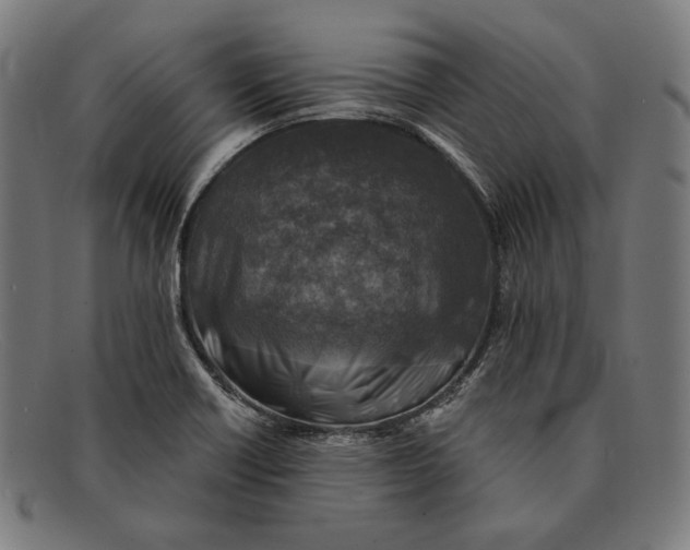 X0000091291418200708311308