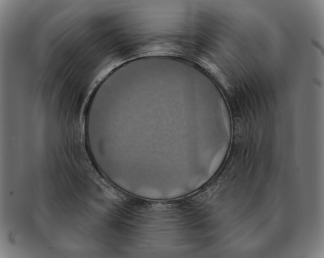 X0000091291419200708311308