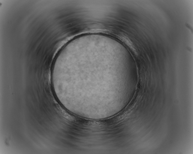 X0000091291420200708311308