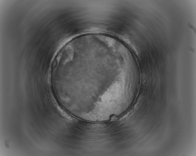 X0000091291421200708311308