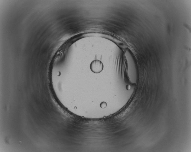 X0000091291422200708311308