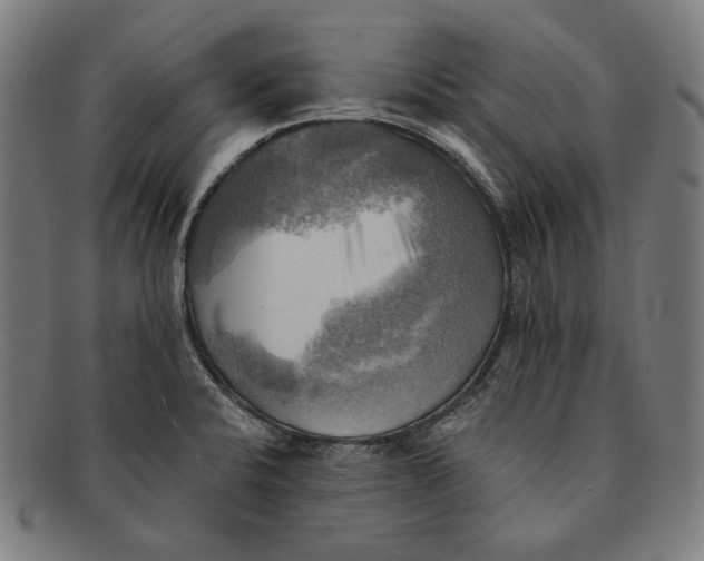 X0000091291424200708311308