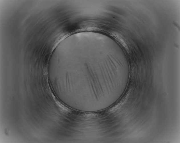 X0000091291425200708311308