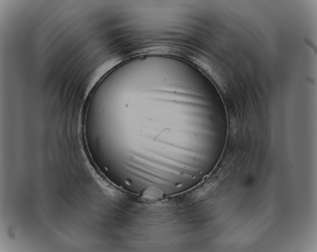 X0000091291426200708311308