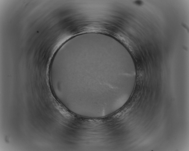 X0000091291427200708311308