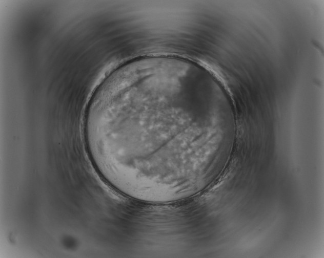 X0000091291429200708311308