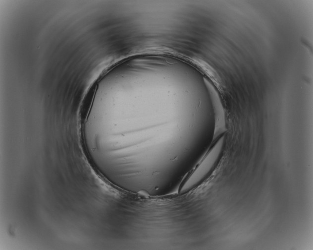 X0000091291430200708311308