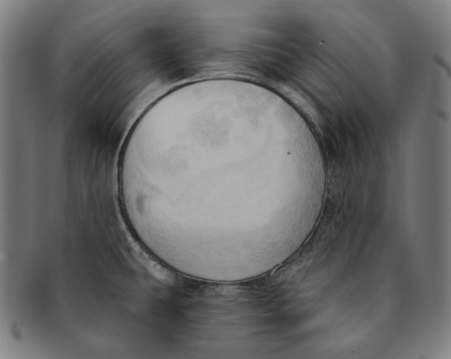 X0000091291431200708311308