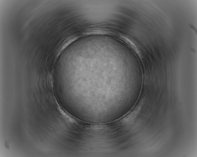 X0000091291433200708311308