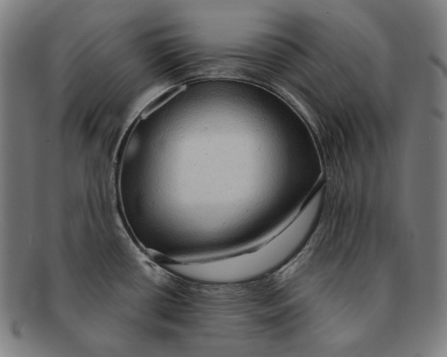 X0000091291434200708311308