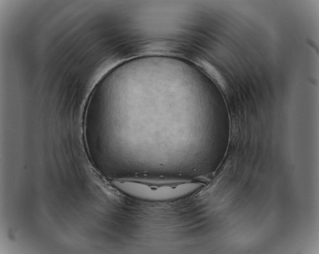 X0000091291435200708311308