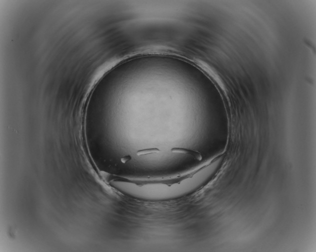 X0000091291437200708311308