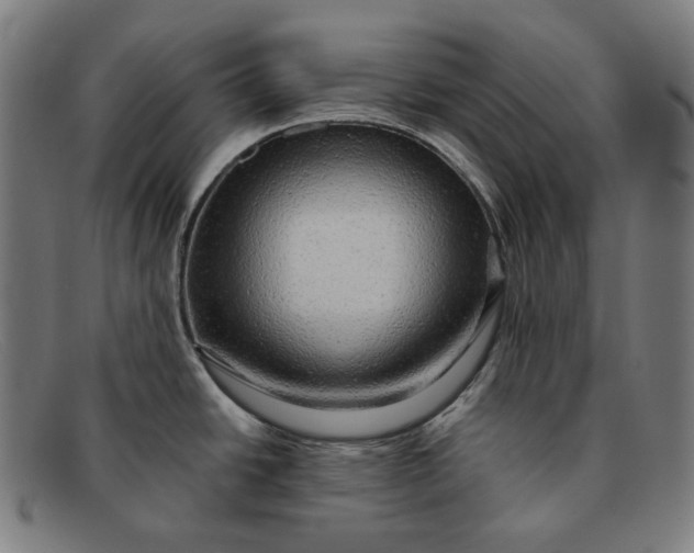 X0000091291438200708311308