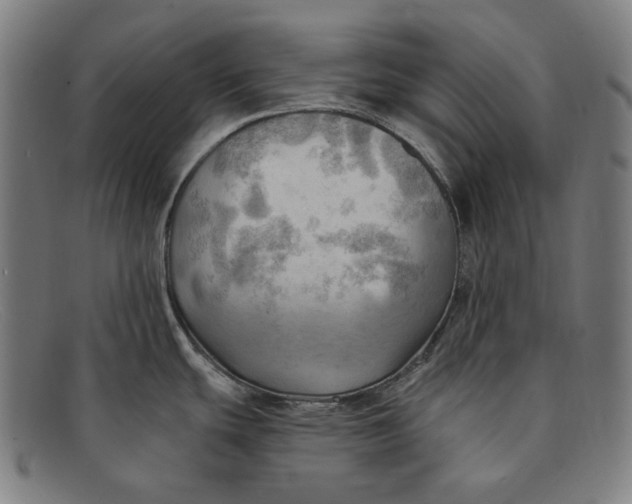 X0000091291439200708311308