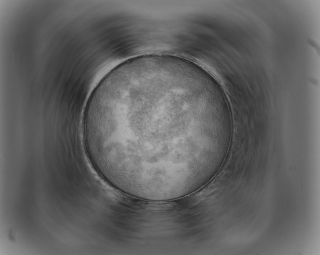 X0000091291440200708311308