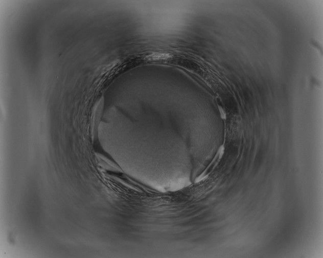 X0000091291441200708311308