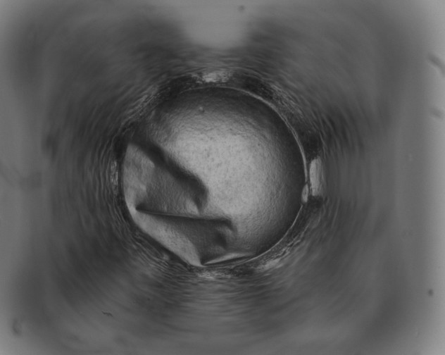 X0000091291443200708311308