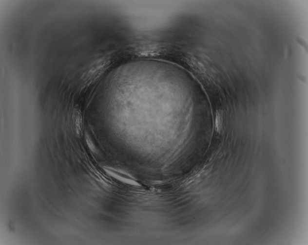 X0000091291444200708311308