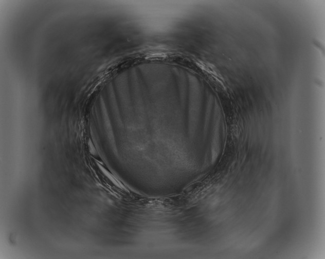 X0000091291445200708311308