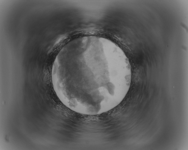 X0000091291446200708311308