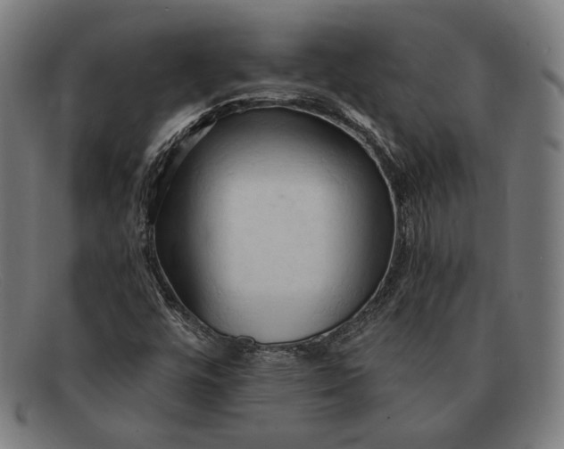 X0000091291448200708311308